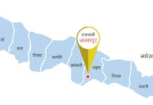 मधेसमा फेरि छ्यापछ्याप्ती पार्टी गठन