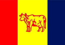 सरकारबाट राप्रपा प्रदेश १ मा तत्काल नबाहिरिने