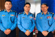 एआईजी बढुवा गर्ने सरकारको निर्णयविरुद्ध दायर