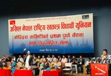 अनेरास्ववियु केन्द्रीय कमिटि बैठकबाट पारित प्रस्ताव