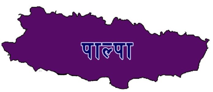 1589542176palpa