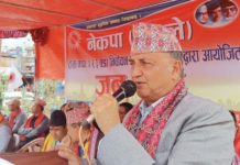 एमालेले ६० प्रतिशत भन्दा बढी पालिका जित्छ: वरिष्ठ उपाध्यक्ष पोखरेल
