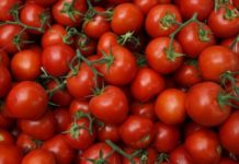 एक महीनामै करीब चार गुणा बढ्यो गोलभेँडाको भाउ