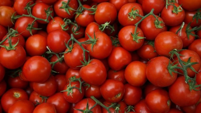 tomato