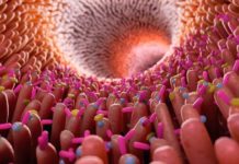 मलद्वारबाट पनि श्वासप्रश्वास गर्नसक्नेलाई प्रमाणित गर्न सुँगुर र मुसामा परीक्षण