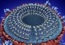 अपडेट : नेपालमा ओमिक्रोन भेरियन्टको ‘बीए५यू’ नयाँ प्रजाति भेटियाे