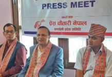 नागरिकता विधेयक संसदबाट पारित हुनु सरकारको नलायकीपन हो : एमाले महासचिव पोखरेल