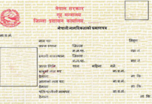 दोहोरो नागरिकता लिने धमाधम फेला पर्दै
