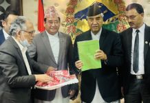 पूर्ण क्षमताको निजगढ अन्तर्राष्ट्रिय विमानस्थल निर्माण कार्य छिट्टै सुरू हुने