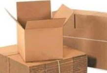 प्लास्टिक झोलाको विकल्पमा पाँच किलो अट्ने कार्टुन