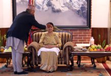 राष्ट्रपतिद्वारा गुरूहरूको हातबाट टीका ग्रहण