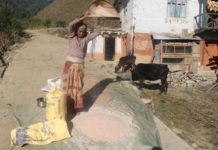 नेपाललाई वार्षिक ५८ लाख ६७ हजार मेट्रिक टन खाद्यान्न आवश्यक