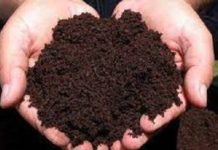 खेतबारीमा हालिँदैन प्राङ्गारिक मल, भकारी अट्ने फल्दैन अन्न