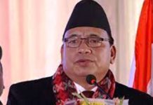 दशैँलाई देखावटी, खर्चिलो र भड्किलो नबनाउन उपराष्ट्रपतिको आग्रह