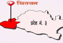चितवन २(१)मा एमाले र ३ (१)मा राप्रपा विजयी