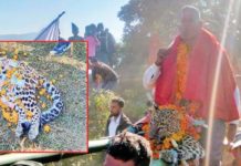 मरेको चितुवामा धामी जाग्दा…