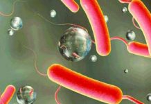 हैजाबाट सङ्क्रमित ६४ जना बिरामी उपचाररत