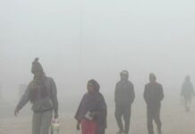 तराईमा बाक्लो हुस्सु