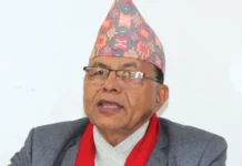 एमाले प्रदेश संसदीय दलका नेता लिला गिरी नियुक्त