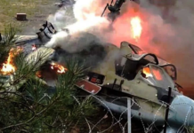 युद्धग्रस्त मुलुक युक्रेनका गृहमन्त्रीको हेलिकप्टर दुर्घटनामा निधन