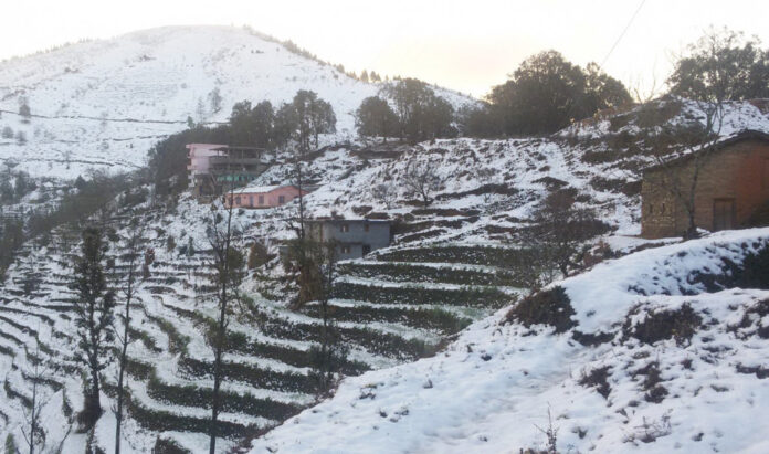 बाजुरामा