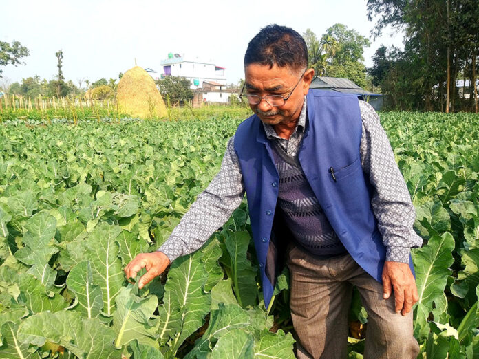 Maniram-Dahal