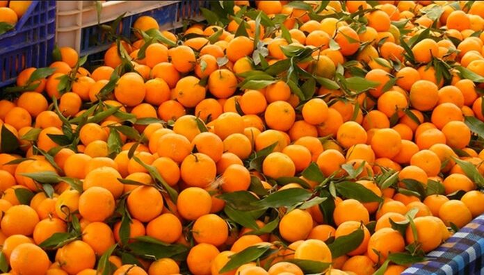 -Orange