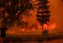 चिलीको डढेलोमा परी २३ जनाको मृत्यु