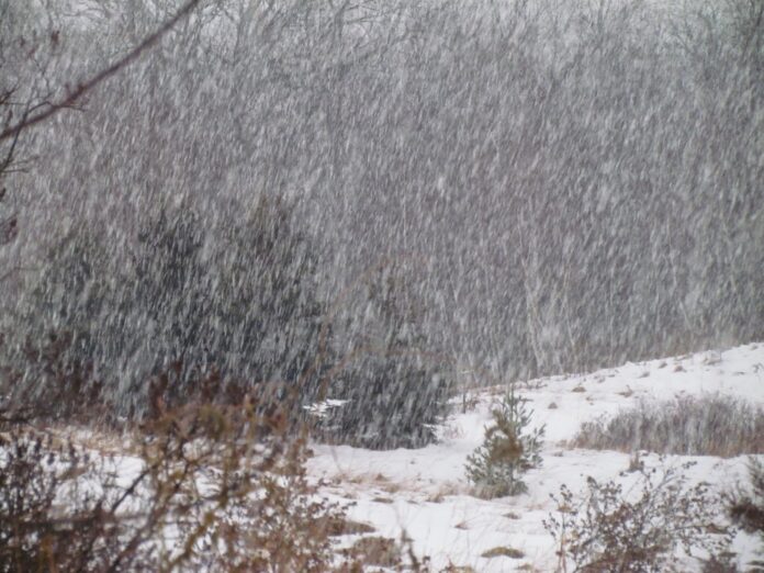 _snow