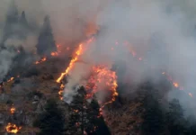 डढेलो नियन्त्रणका लागि उच्च सतर्कता