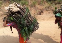 देशमा अझैपनि ३३ लाख जनता दाउराकै भरमा जीवन चलाउन बाध्य