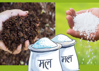 किसानलाई गोबरको मल खरिद र ढुवानीमा ५० प्रतिशत अनुदान दिने
