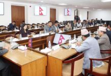 बजार अनुगमन प्रभावकारी बनाउन प्रम प्रचण्डकाे निर्देशन