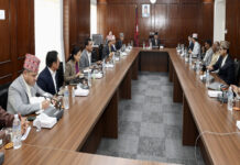 रेशम चौधरीलाई आममाफी दिन राष्ट्रपति रामचन्द्र पौडेलसमक्ष सिफारिस