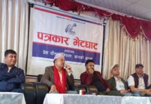 नक्कली शरणार्थी प्रकरण छानविनमा राजनीतिक रङ दिएर उन्मुक्ति दिन नहुने