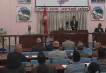 अझै गठन भएनन् गण्डकी प्रदेशमा विषयगत समिति