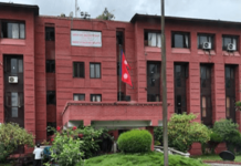 चीनमा देखिएको मानव मेटान्यूमो साधारण भाइरस