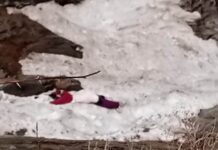 Three bodies including two women found