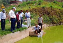अनुदानमा माछाको भुरा पाएपछि कृषक खुसी