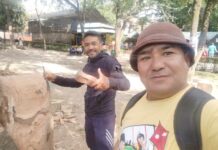 उपयोग नभएका काठबाट जनावरको आकृति बनाउँदै कलाकार