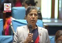 उपप्राध्यापकमाथि सांघातिक आक्रमणको मुद्दा फिर्ता बारे प्रश्न उठाए