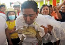 मेक्सिकोका एक मेयरले गोहीसँग बिहे गरेपछि…