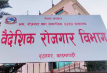 दुई कन्सल्टेन्सीलाई कारबाही