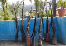 पेस्तोल तथा भरूवा बन्दुक बरामद