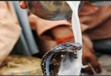 आज नागपञ्चमी