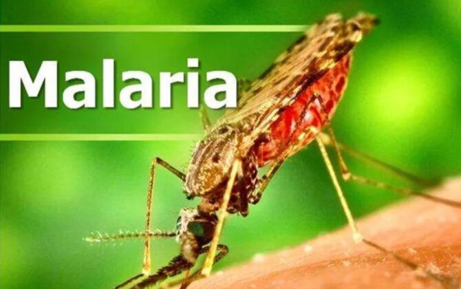1654076966_malaria-670x420