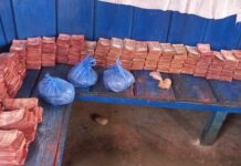 गोसाइँकुण्डमा तीनलाख भेटी सङ्कलन