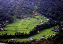 म्याग्दीबाट रैथाने बाली लोप हुँदै
