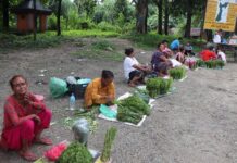 निउरो बेचेर घर खर्च