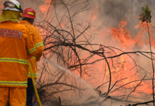 अष्ट्रेलियामा सात दिनभित्र चार सय जङ्गलमा आगलागी